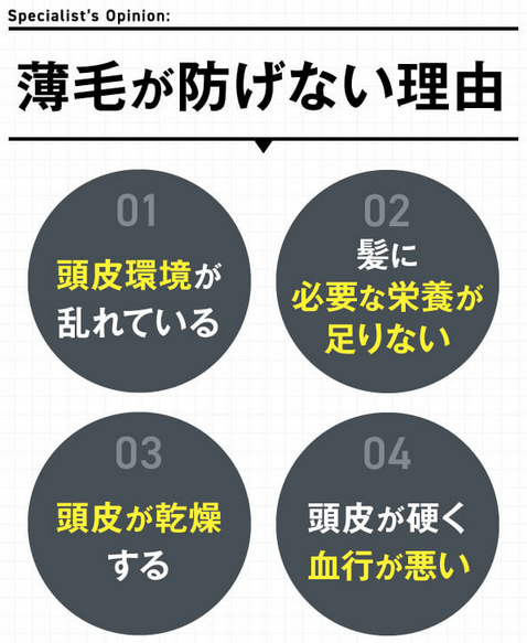 薄毛が防げない理由