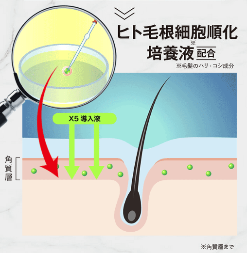 ヘアモのヒト毛根細胞順化培養液