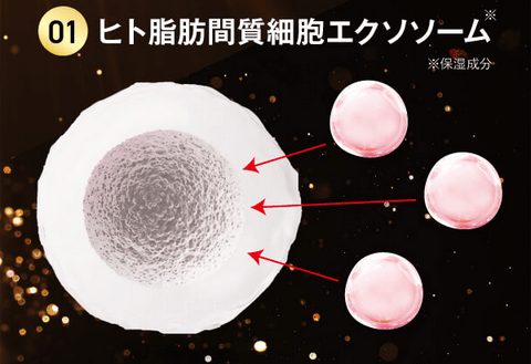 ヘアモには注目成分エクソソーム配合