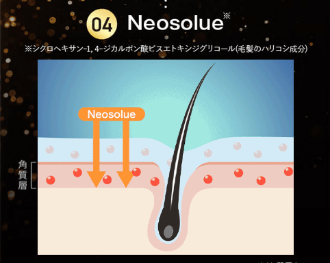 ヘアモに配合のNeosolueで浸透させる