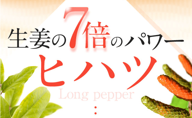 ビオンミックスんのヒハツは生姜の7倍のパワー