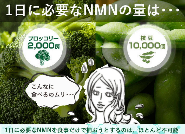 NMN含有量