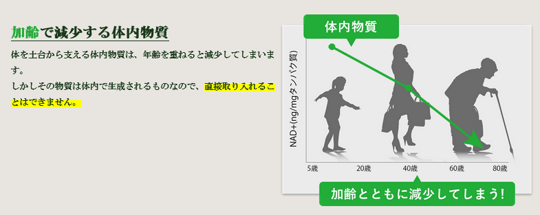 年齢とともに減少していく体内物質