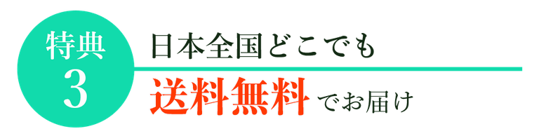 ファーストセレクトNMN公式サイトの特典③