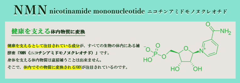 NMNとは