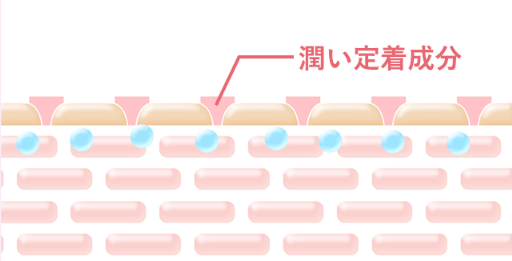 ピンテは潤いを定着