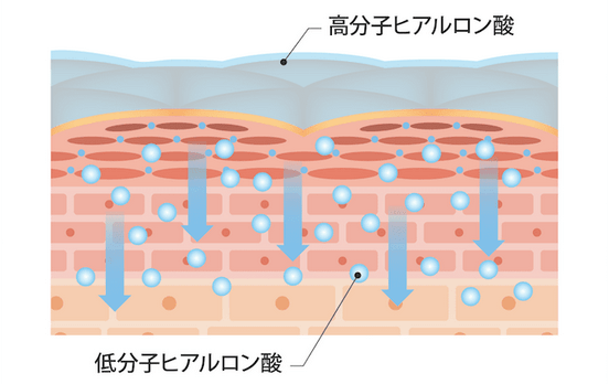 ナノポロンのヒアルロン酸が保湿して守る