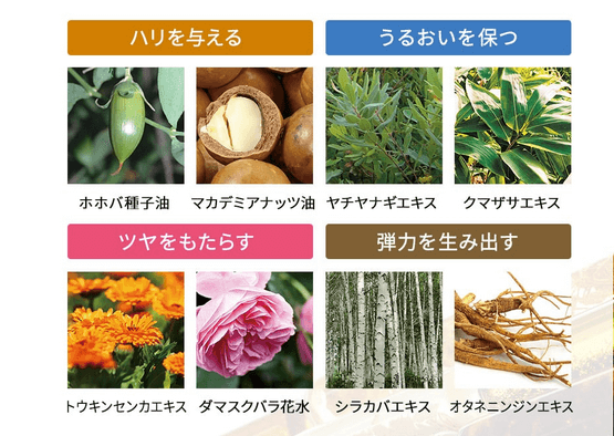 オラクルは多種多様な植物を配合