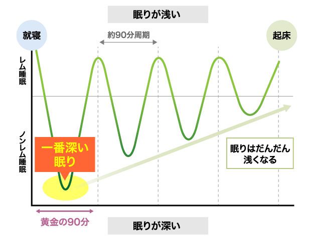 成城青汁は睡眠の質を高める