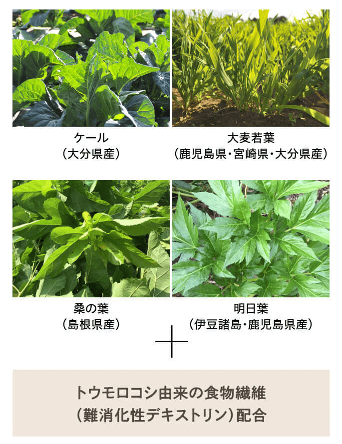 成城青汁は国内源泉の野菜