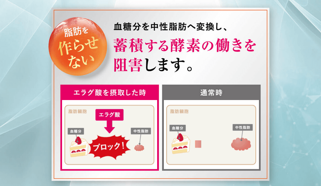 シボローカ エラグ酸の2大効果②