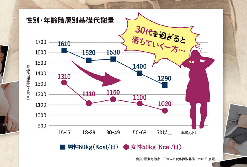 基礎代謝の低下