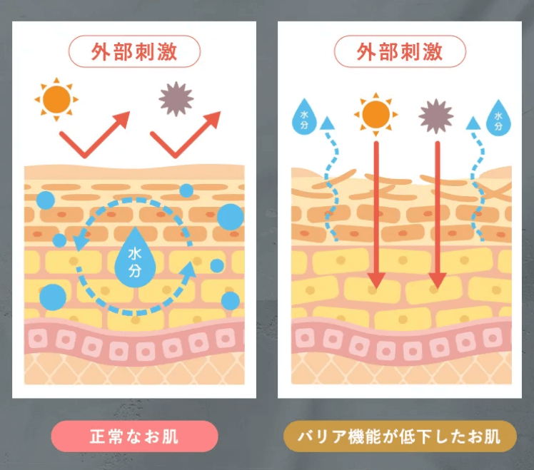 セラシークナノバブルクレンジングで正常なお肌をキープ