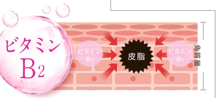 ミルセリンホワイトNKBはビタミンB2配合