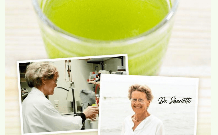 チラコナはチラコイド配合