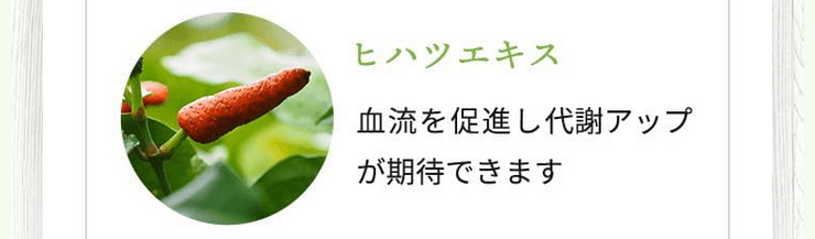 チラコナはヒハツエキス配合