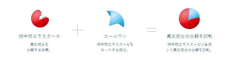 リンクルショットメディカルセラムNは徹底した品質管理