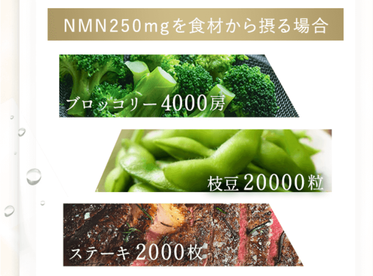金のNMNは1日2から4粒