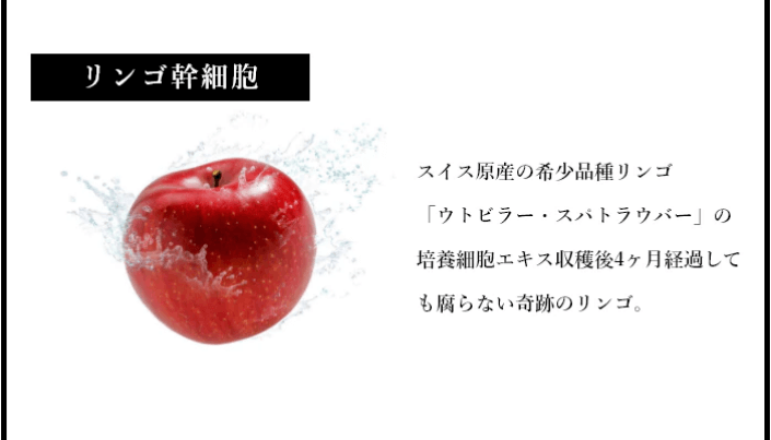 エスフォルノは4つの幹細胞