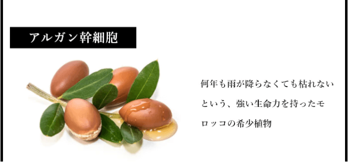 エスフォルノはアルガン幹細胞