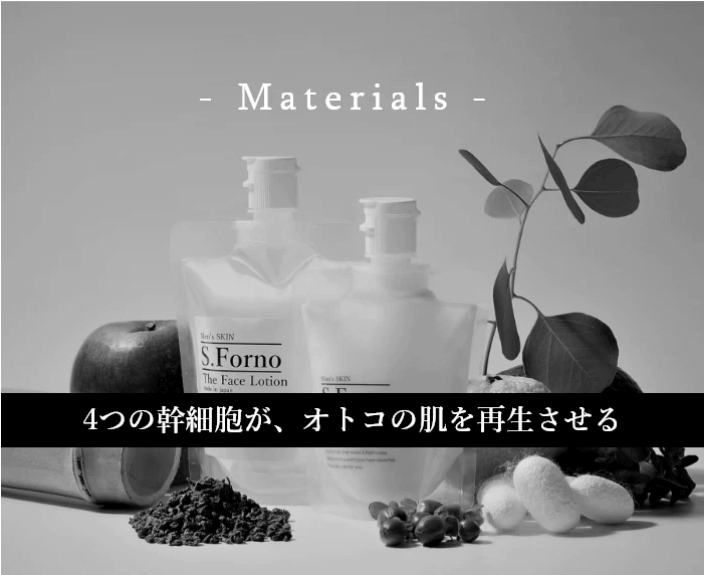 エスフォルノの使い方