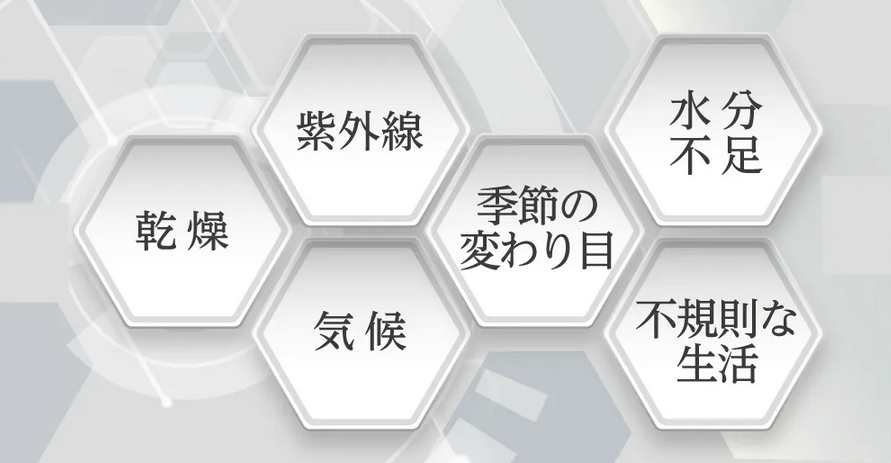 お肌の悩みの要因