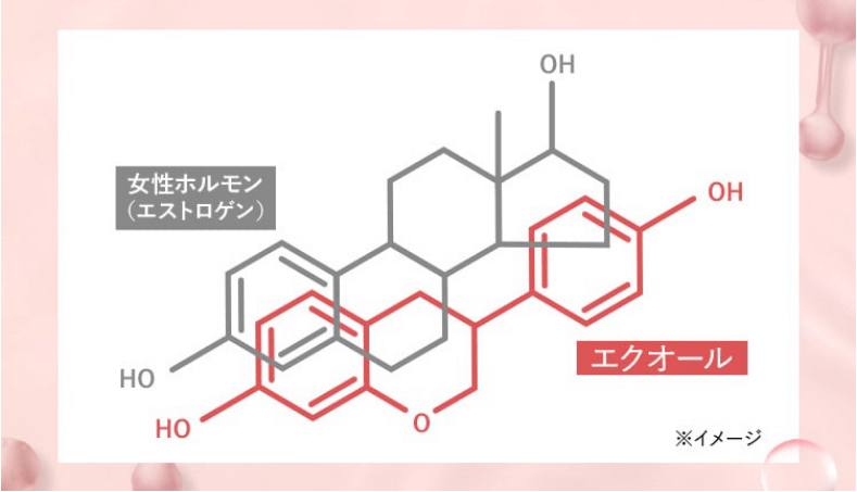 エクオールはエストロゲンと似た働き