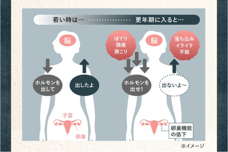 エクオール宣言は更年期障害に効果的