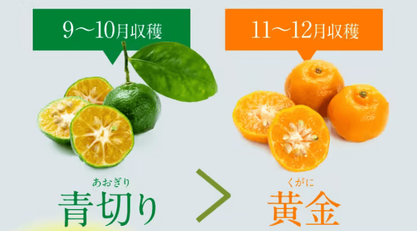 青切りシークヮーサー100には青切りの果皮部分を使用