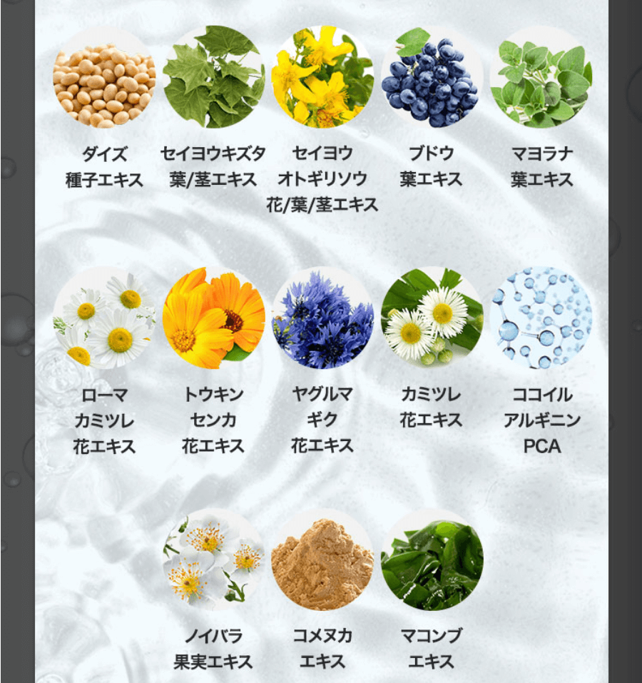 パレスパークリングシャンプーは20種の頭皮ケア成分配合②