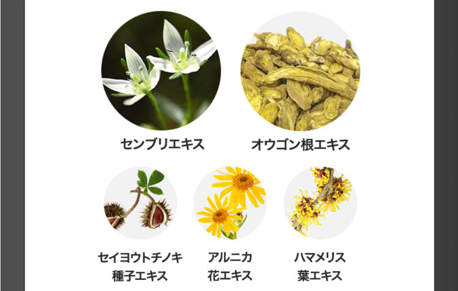 パレスパークリングシャンプーは20種の頭皮ケア成分配合③