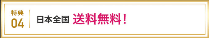 パレスパークリングシャンプーは公式サイトがお得④