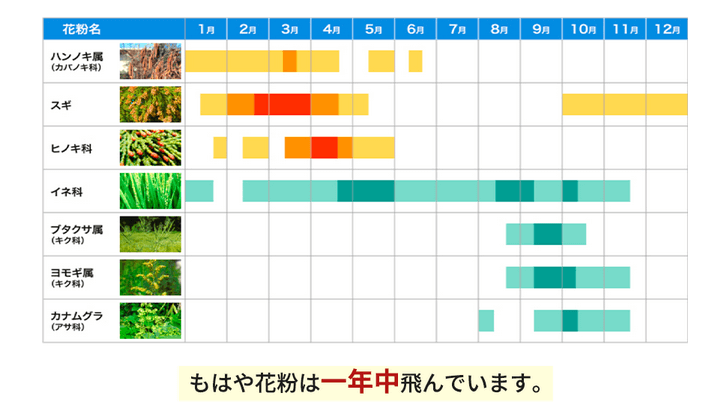 ケルセフィットは花粉に効果的