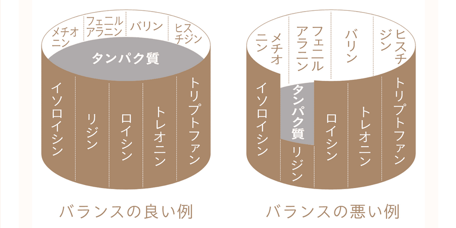 私の完全美容食は大豆が豊富