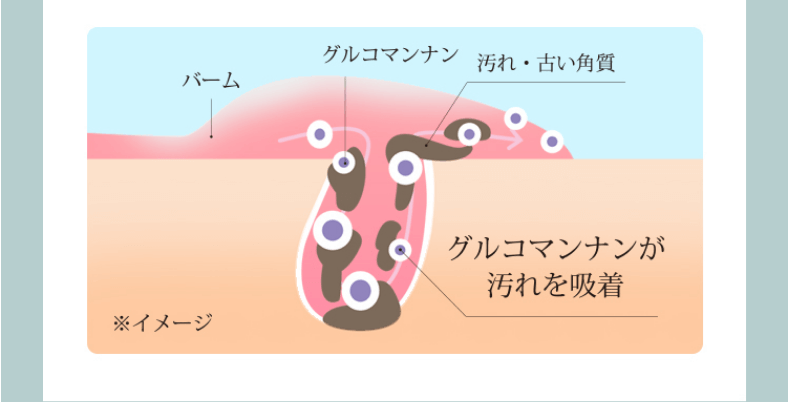 キレハはグルコマンナン入り