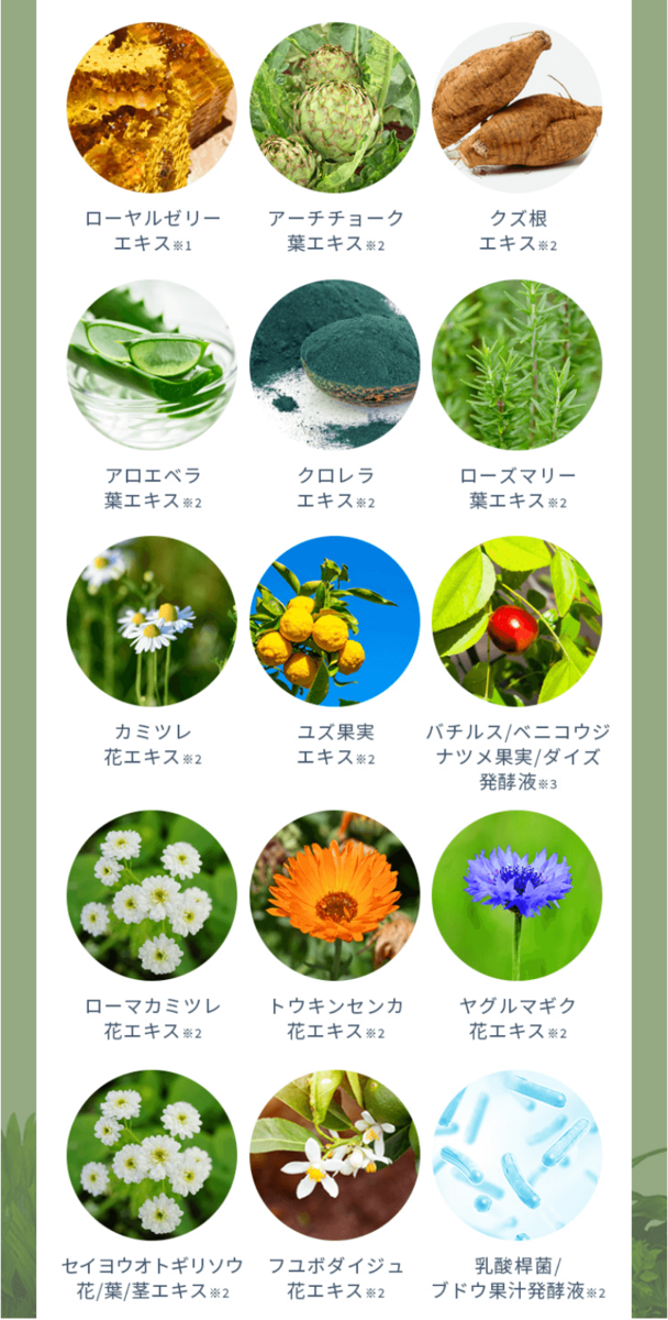 キレハは15種の植物エキス配合