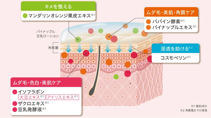 パイナップル豆乳ローションプレミアムはお肌の悩みにアプローチ