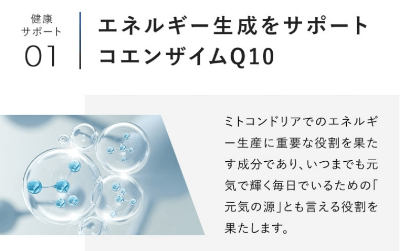 NMNサプリ PERFECT NMNはコエンザイムQ10配合