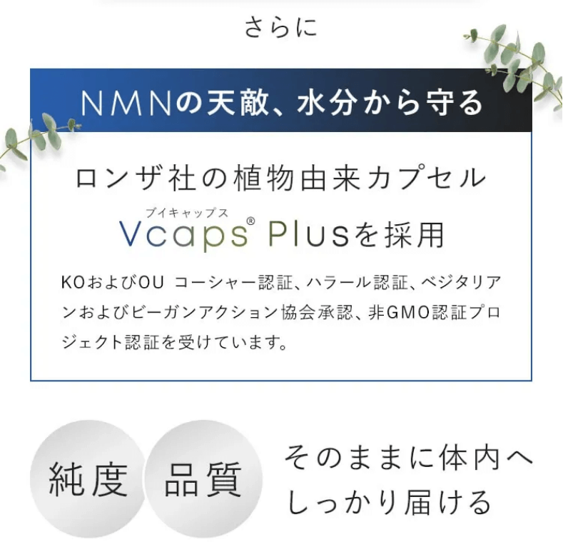 NMNサプリ PERFECT NMNはロンザ社の植物由来カプセル