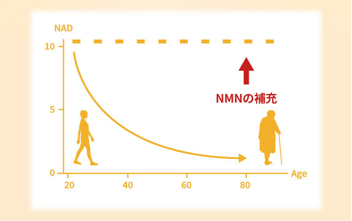 カラタスケアNMNの紹介