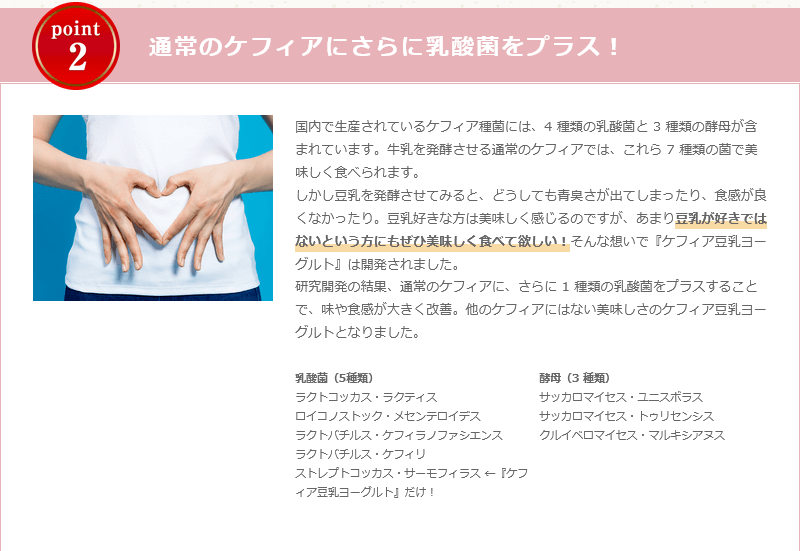 ケフィア豆乳ヨーグルトは乳酸菌をプラス