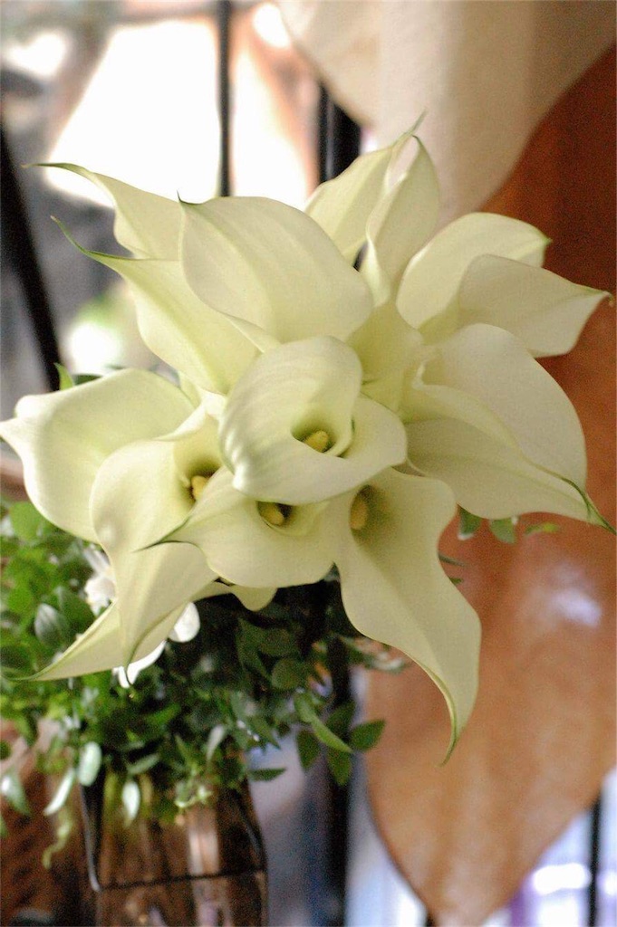 f:id:anima-florist:20160920150037j:image f:id:anima-florist:20160920150037j:image