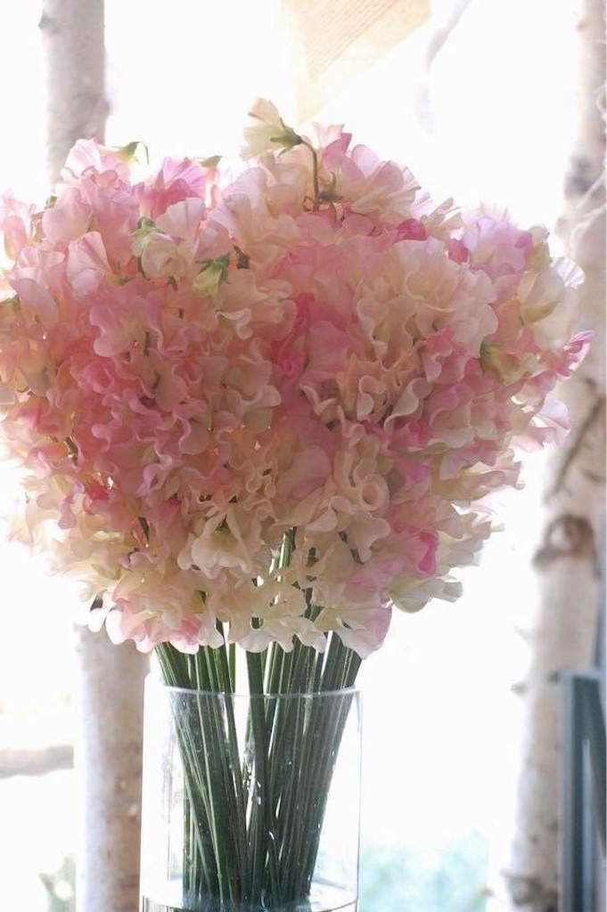 f:id:anima-florist:20180210132455j:image