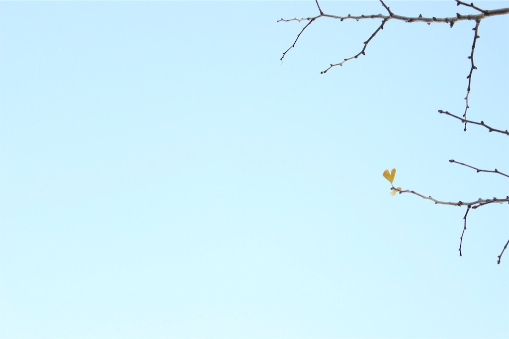 f:id:anima1trai1:20190307095009j:image f:id:anima1trai1:20190307095009j:image