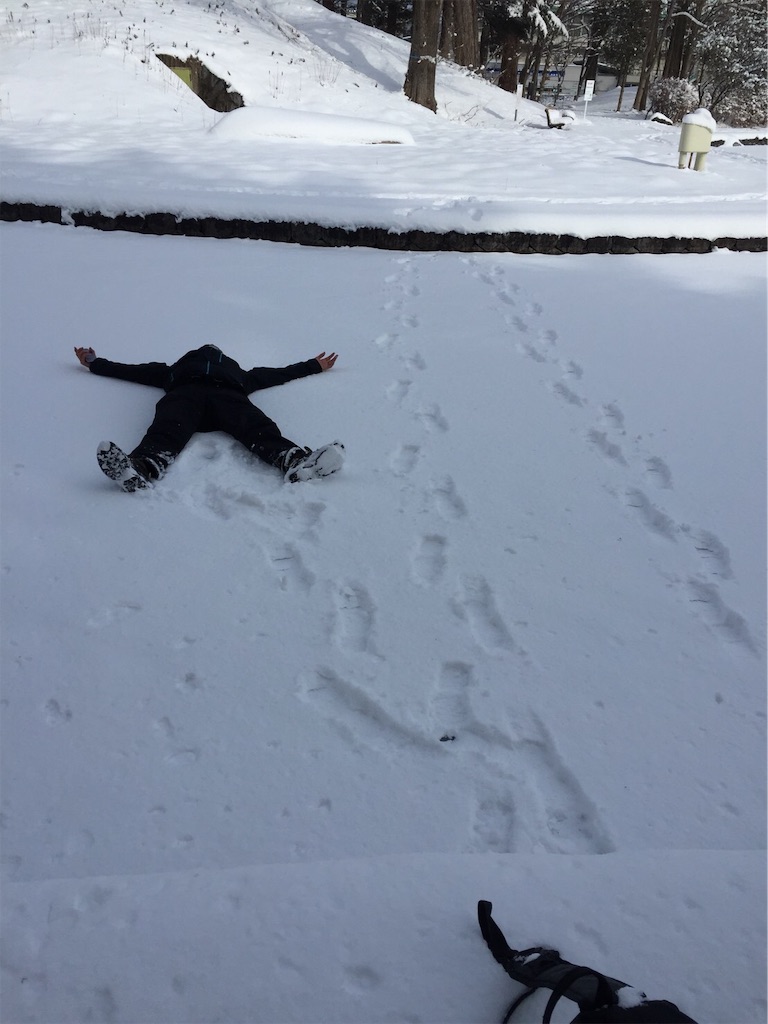 f:id:anima1trai1:20190318011758j:image f:id:anima1trai1:20190318011758j:image