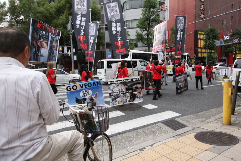IMG_5637.jpg