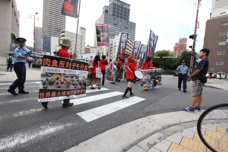 IMG_5795.jpg