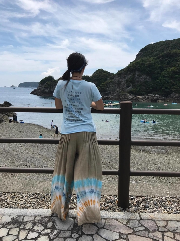 taiji71.jpg