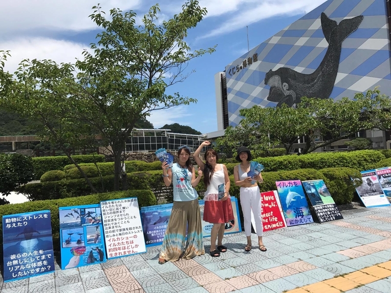 taiji73.jpg