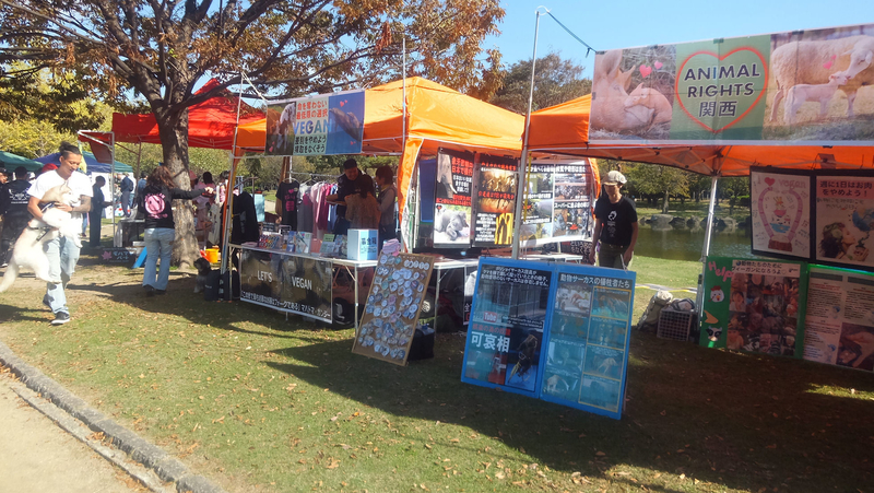 20181028f.jpg